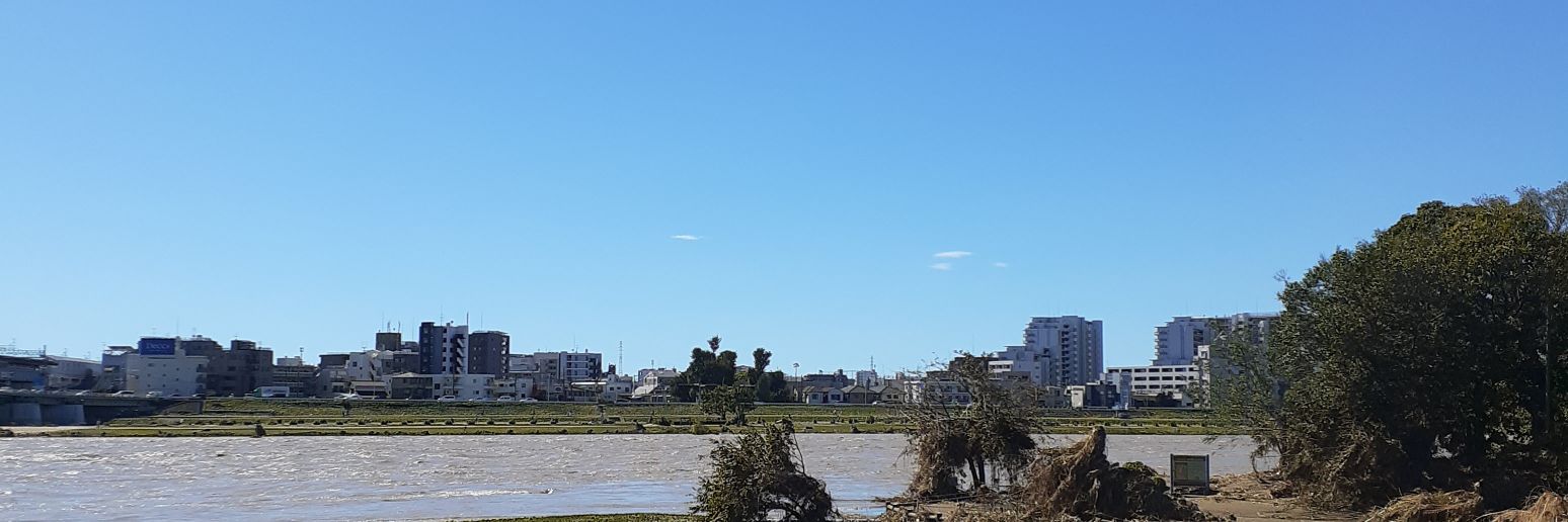 雪玉猫　いながきすずき banner