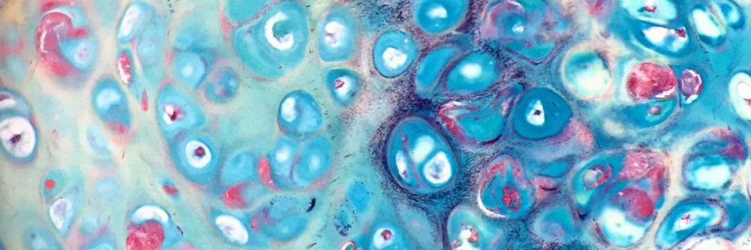 Desiree A. Marshall MD banner