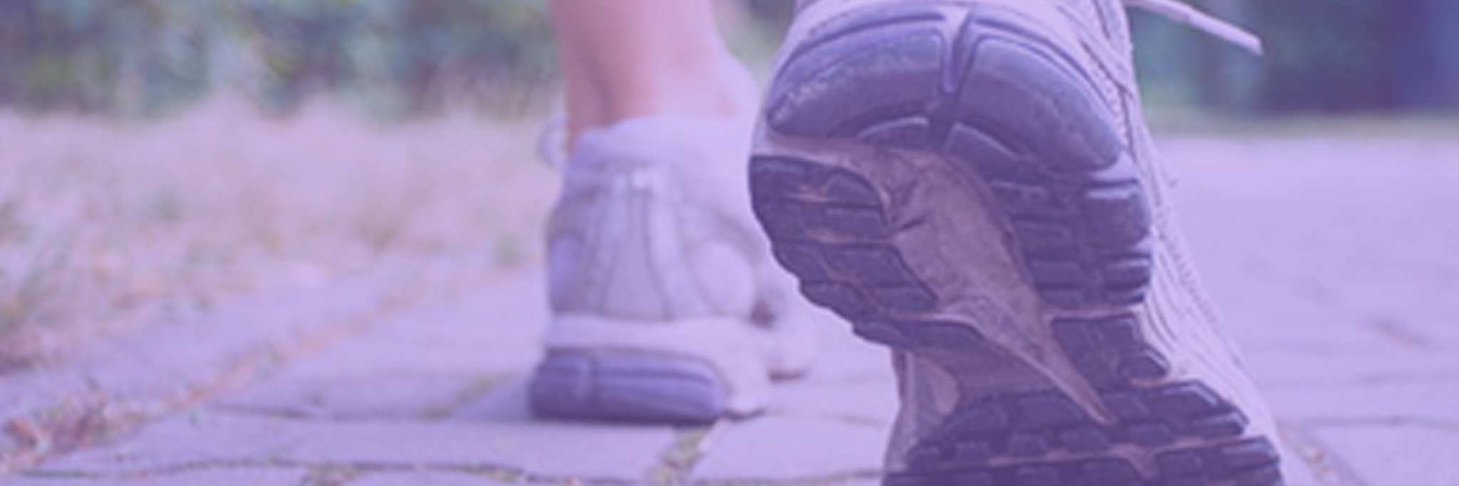 rotaapplication's profile banner image