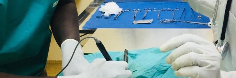 Fallab_vet's profile banner image