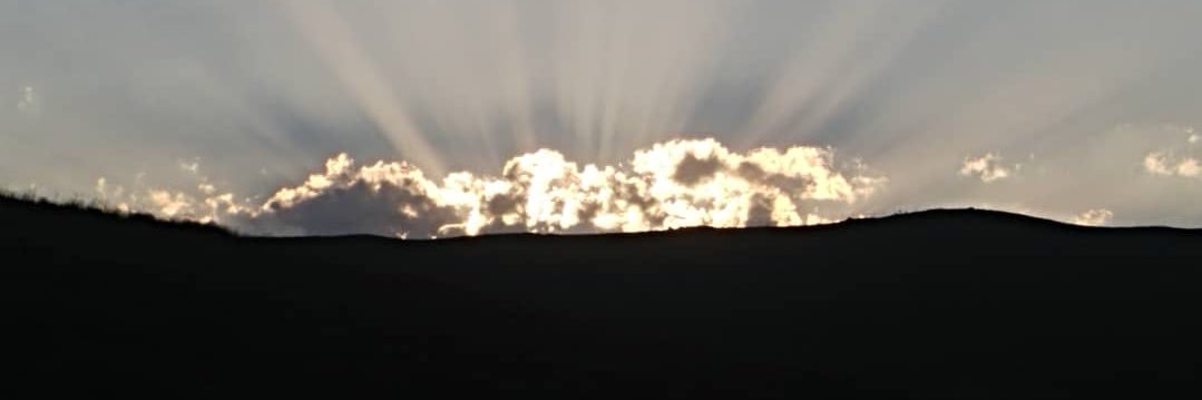 sarkabood's profile banner image