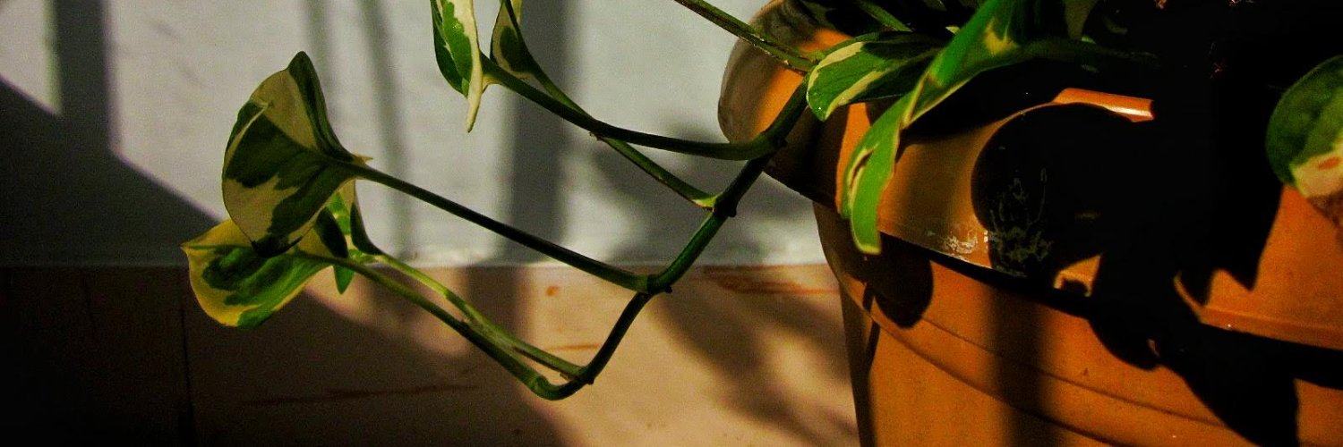 Vallari Sanzgiri banner