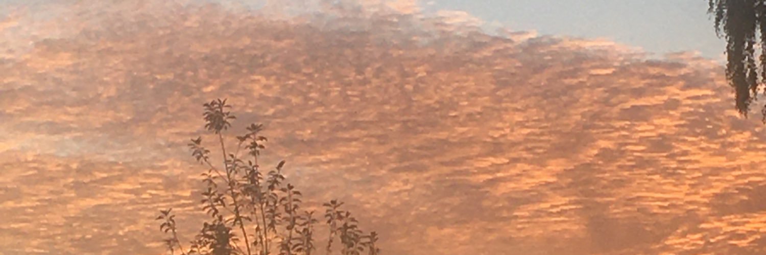 bngoldie's profile banner image