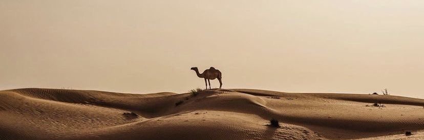 KSA88nn's profile banner image