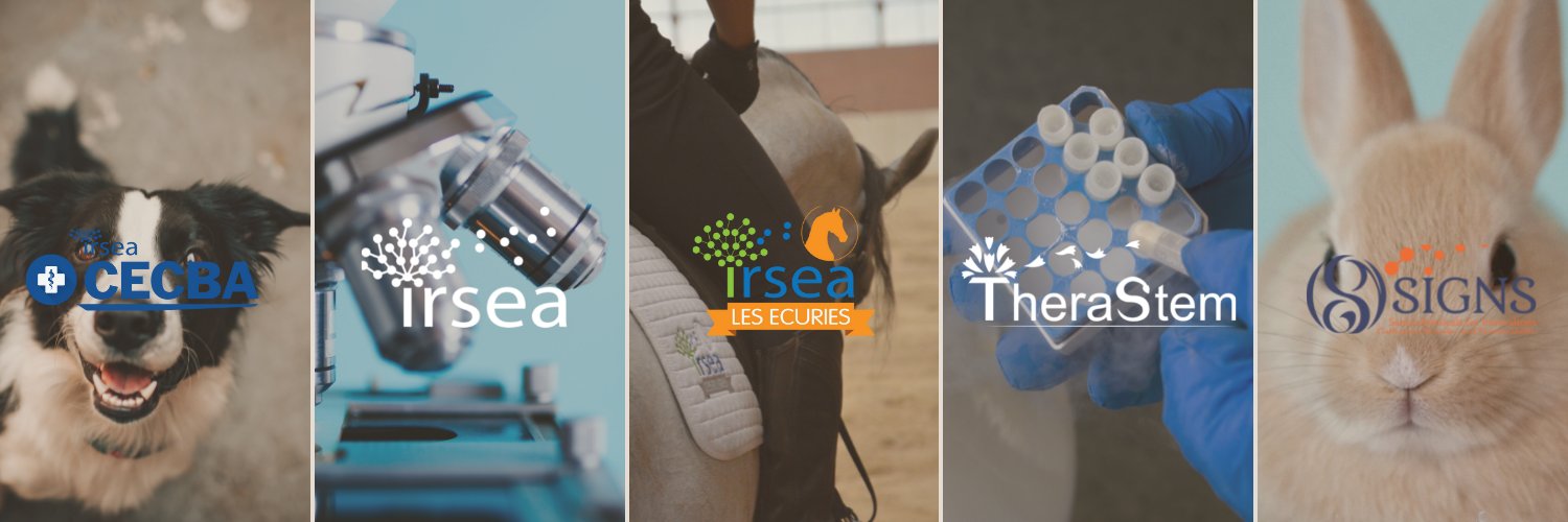 GroupIRSEA's profile banner image