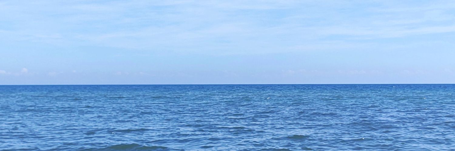 nelatapia's profile banner image