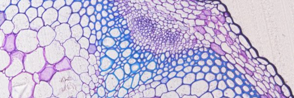 prashant_pawar Profile Banner