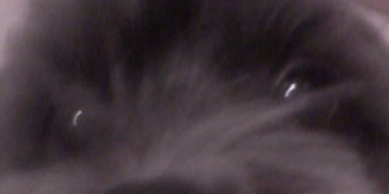 aburoci's profile banner image