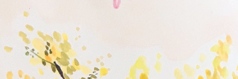 samflwrcrossing's profile banner image