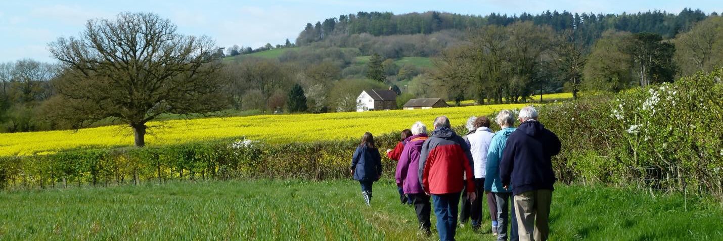 FoDWalk4Health's profile banner image