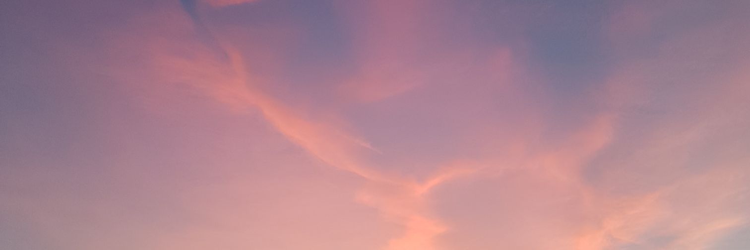 EVAFINA's profile banner image