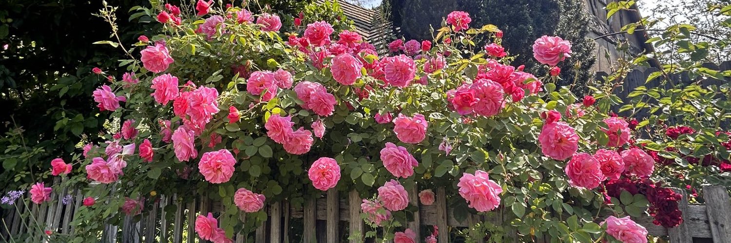 cham oumar 🇸🇳♻️🌱💡 banner