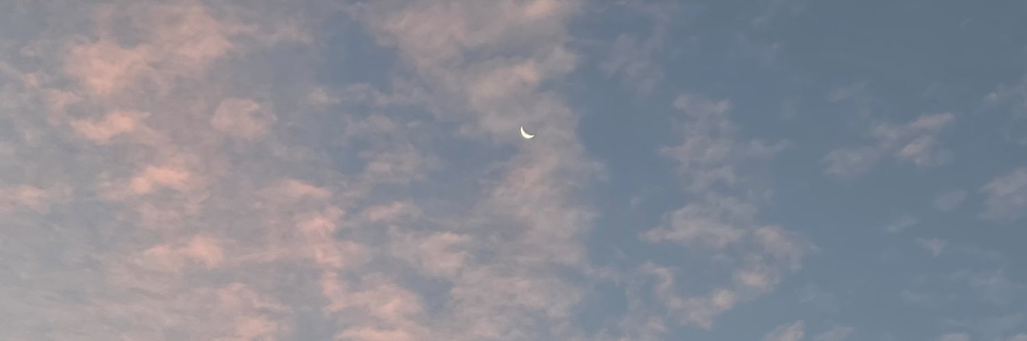 paulamd22's profile banner image