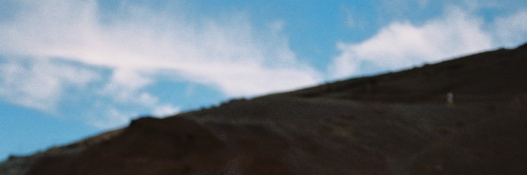 Nele Lea's banner