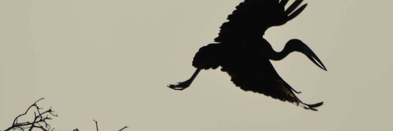 onemanparsons's profile banner image
