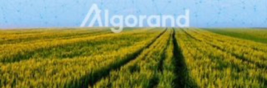 Silvio Micali's banner