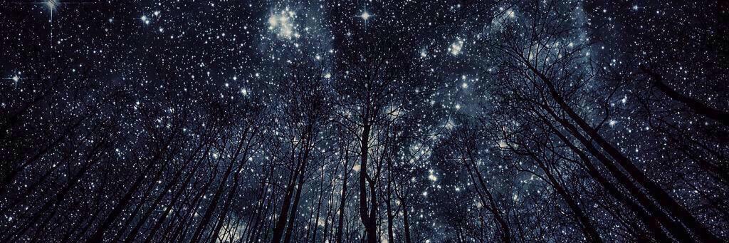 anonymous unicorn banner