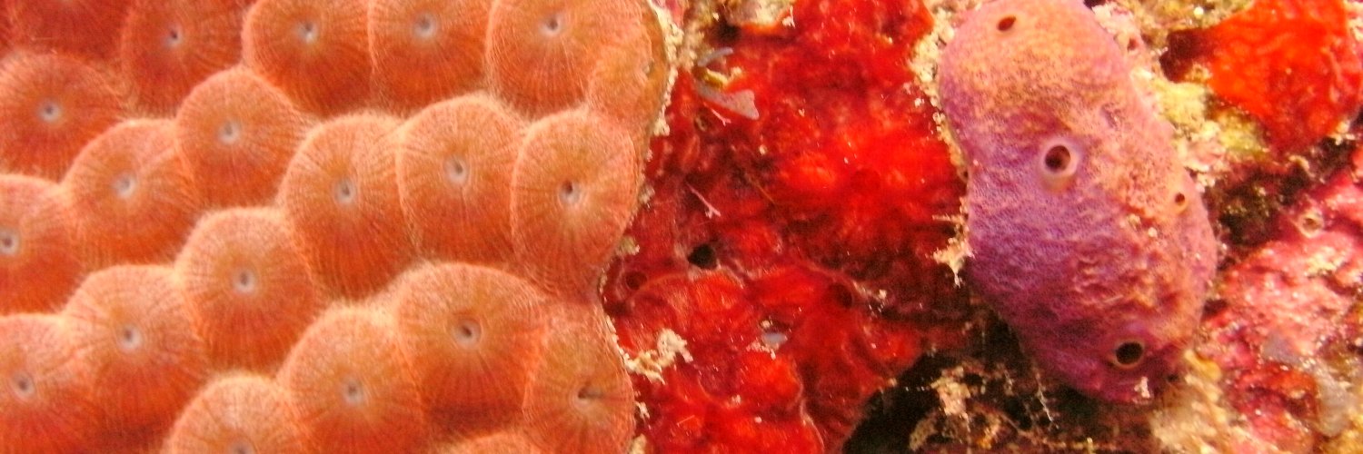 Global Invertebrate Genomics Alliance (GIGA)'s banner