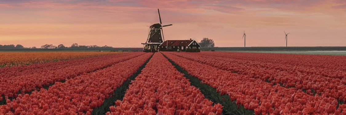 The Rocketeer 🏴‍☠️ banner