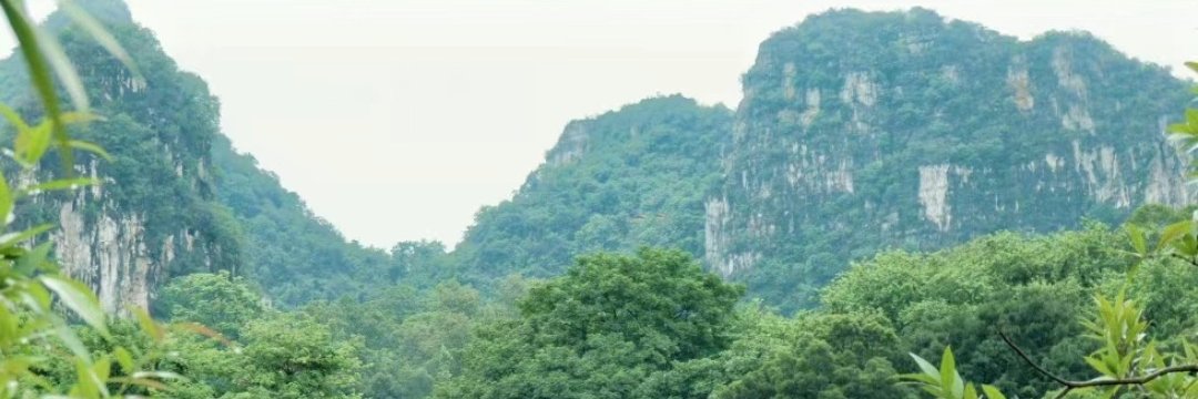 skyfall_in's profile banner image