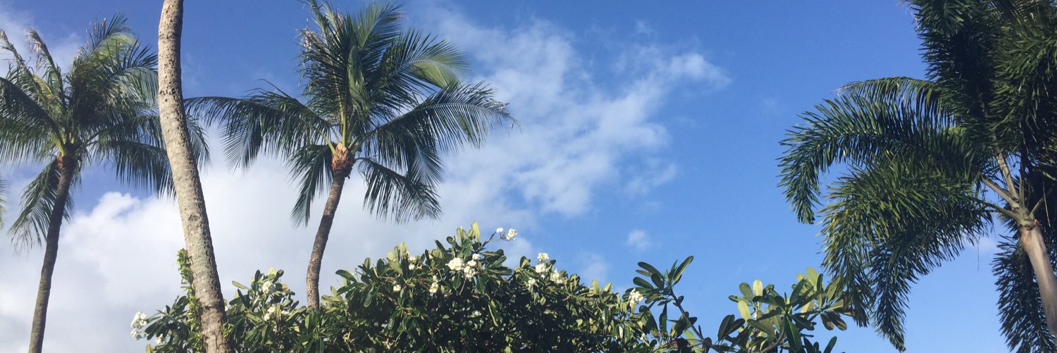 yoatso's profile banner image