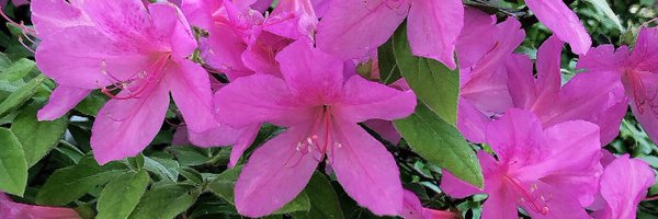 CaitJTaylor Profile Banner