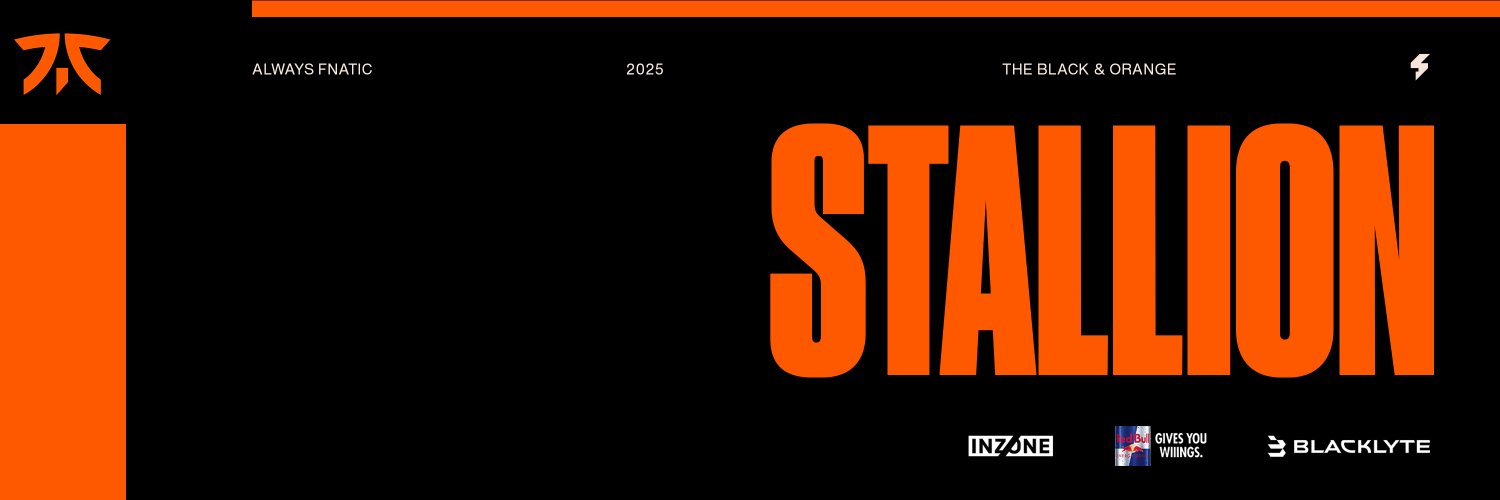 FNATIC Stallion's banner