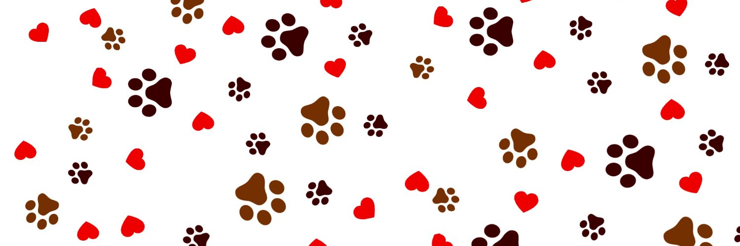 alphacodelabs's profile banner image