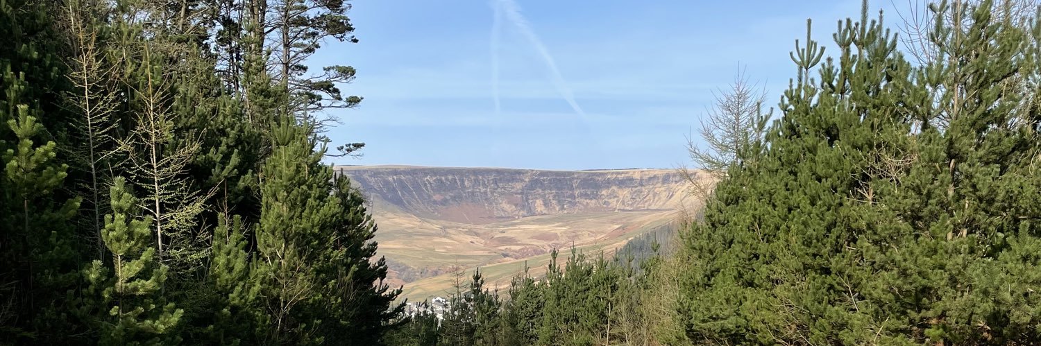 Lewis Stephens banner