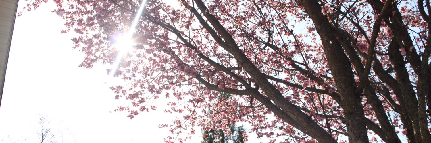 VbMegan's profile banner image
