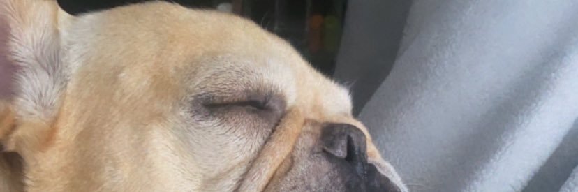 fer_mmontes's profile banner image