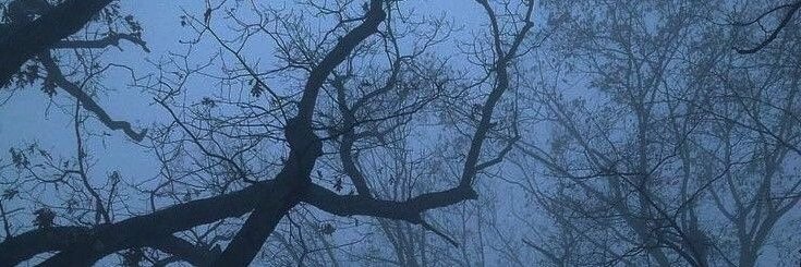 Elyes Z. banner