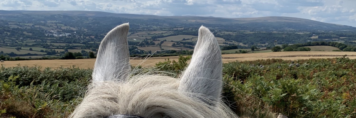 HarrietEvery's profile banner image