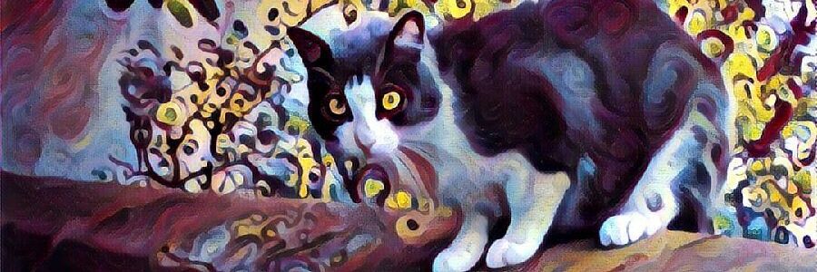 Mazel10's profile banner image