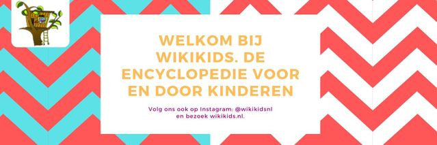 wikikids's profile banner image