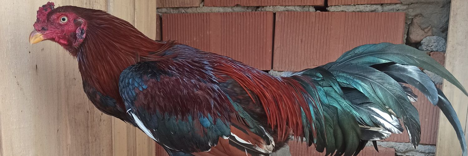 tuncayoban5's profile banner image