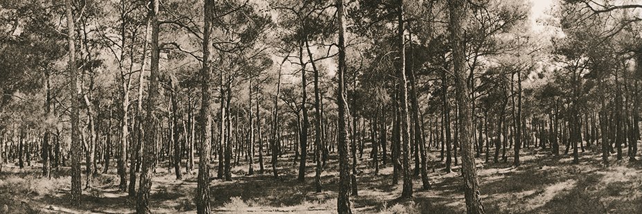 Μιχαήλ Μαυρίδης banner