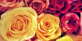 laur_antS's profile banner image