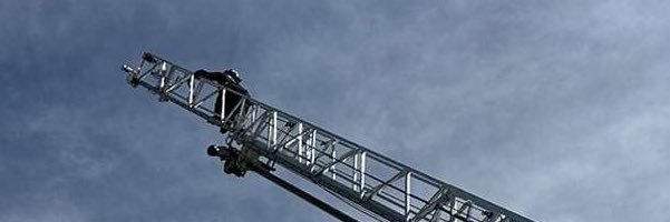 Brandon Williams banner