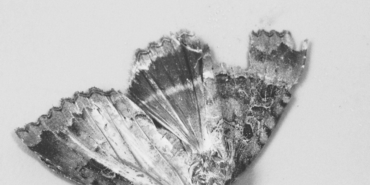 alexcolleyy's profile banner image