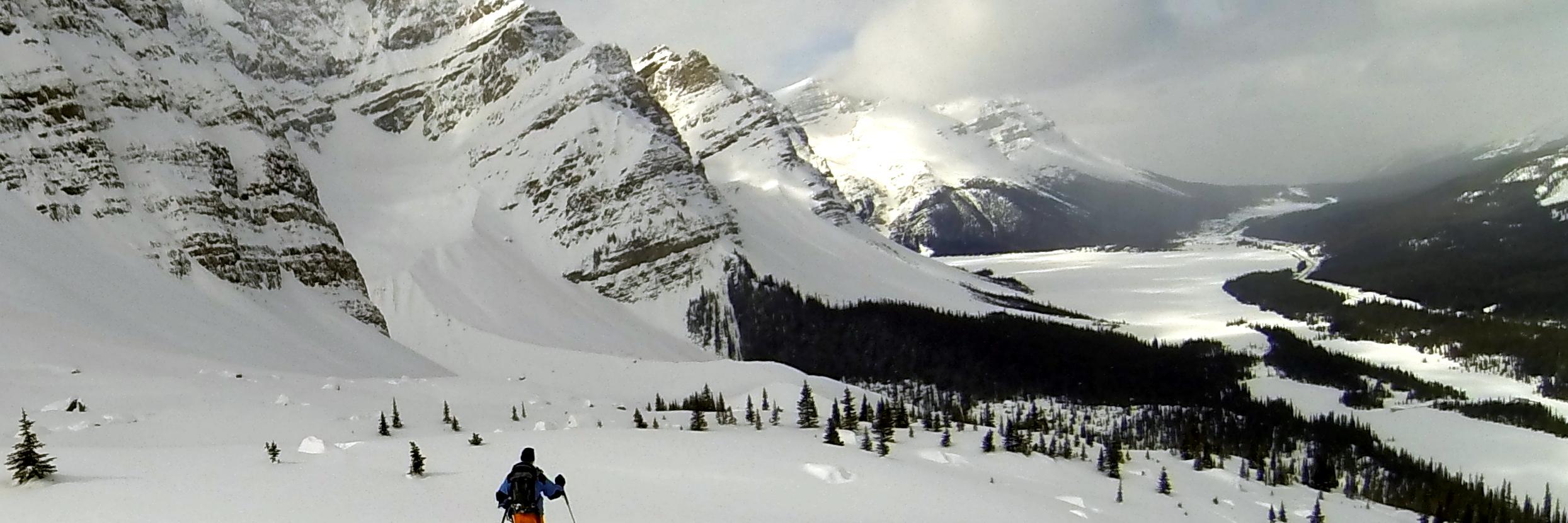 Linda Gillett banner