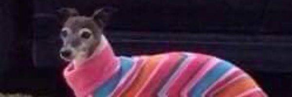 Hawggie33 Profile Banner
