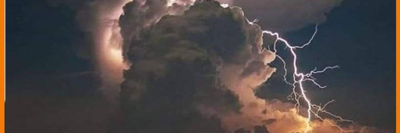 josesnauzer's profile banner image