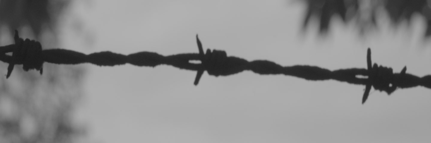 Damilola Lemomu banner