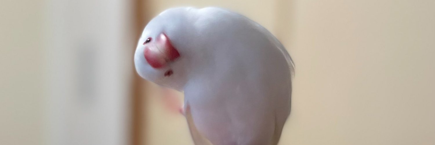 abahebo's profile banner image