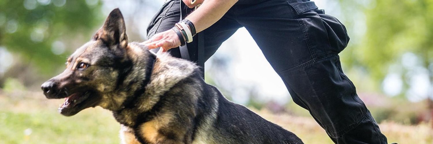PD KOKO, PD ATHOS & TPD KAOS banner