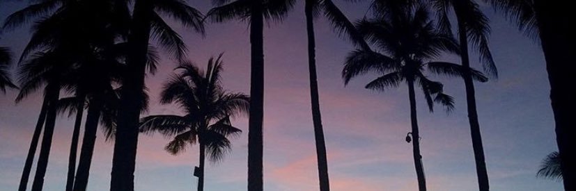 amandauy's profile banner image
