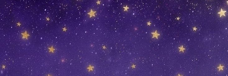 .·:*¨༺w✵nder༻¨*:·. banner
