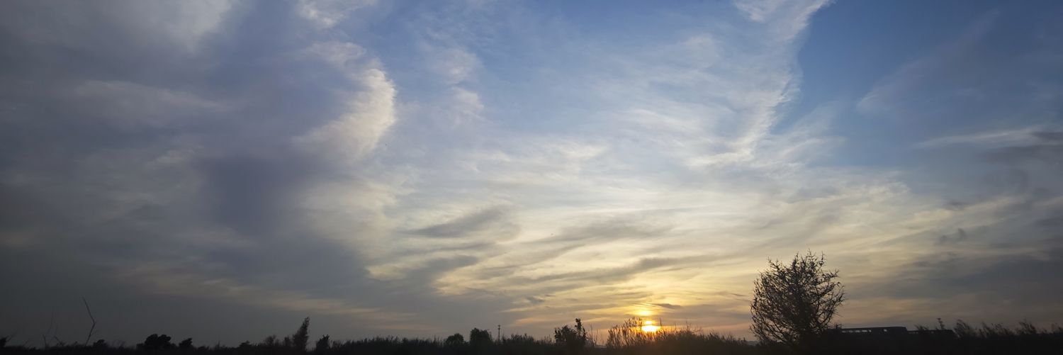 Gabriel Yang banner