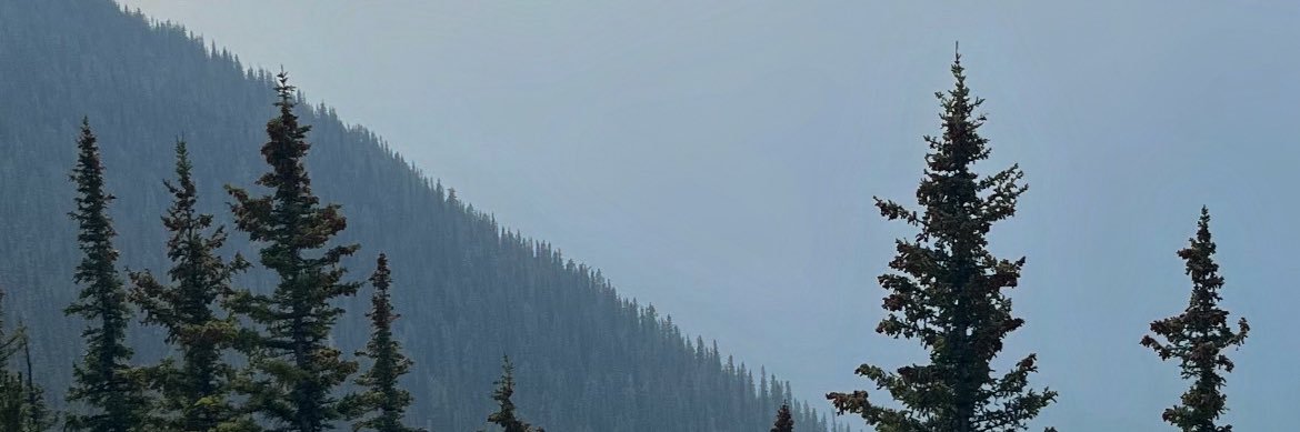maueramanda's profile banner image